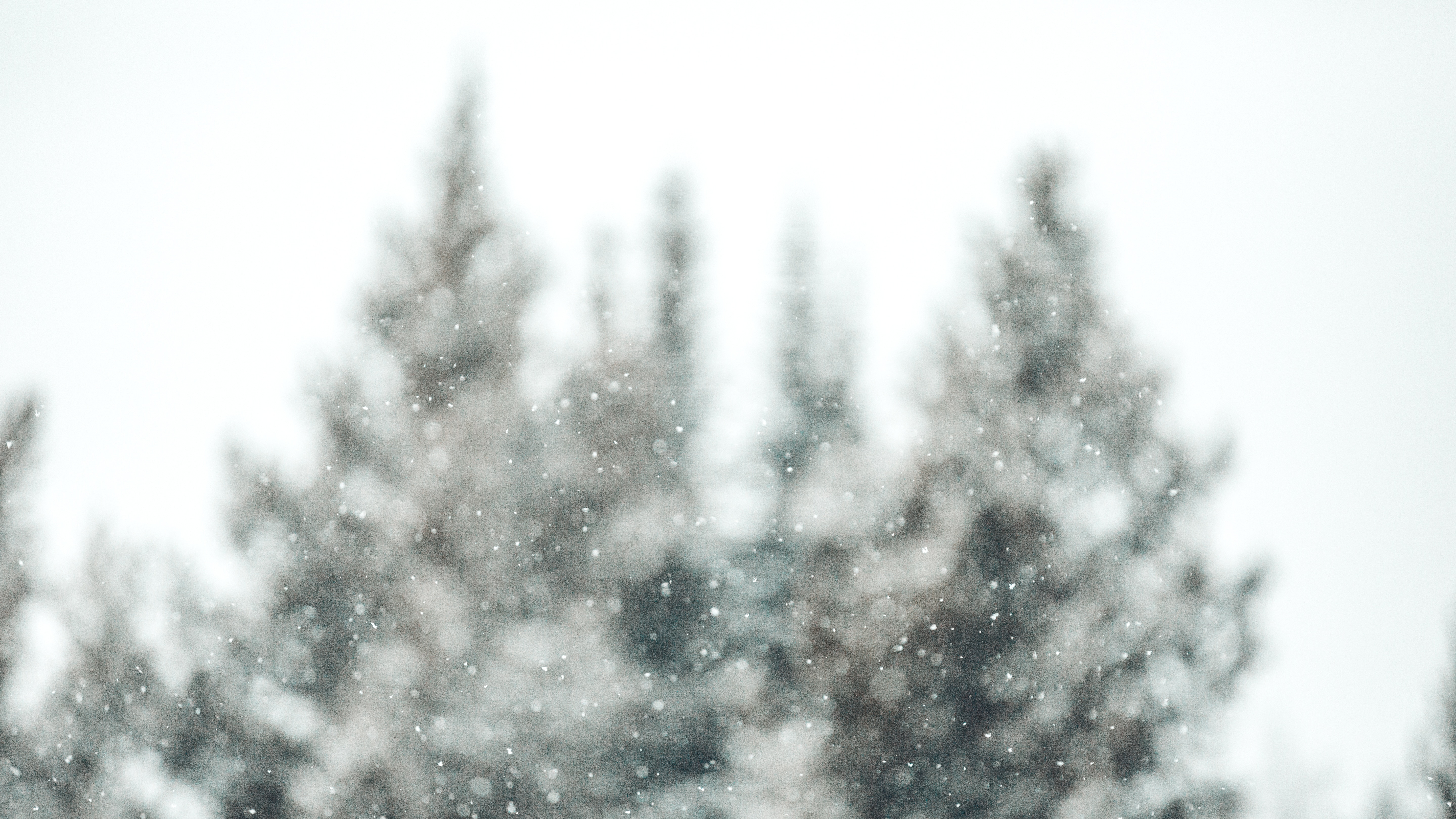 jonathan-knepper-402528-unsplash